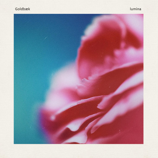 男男裸体视频网站
